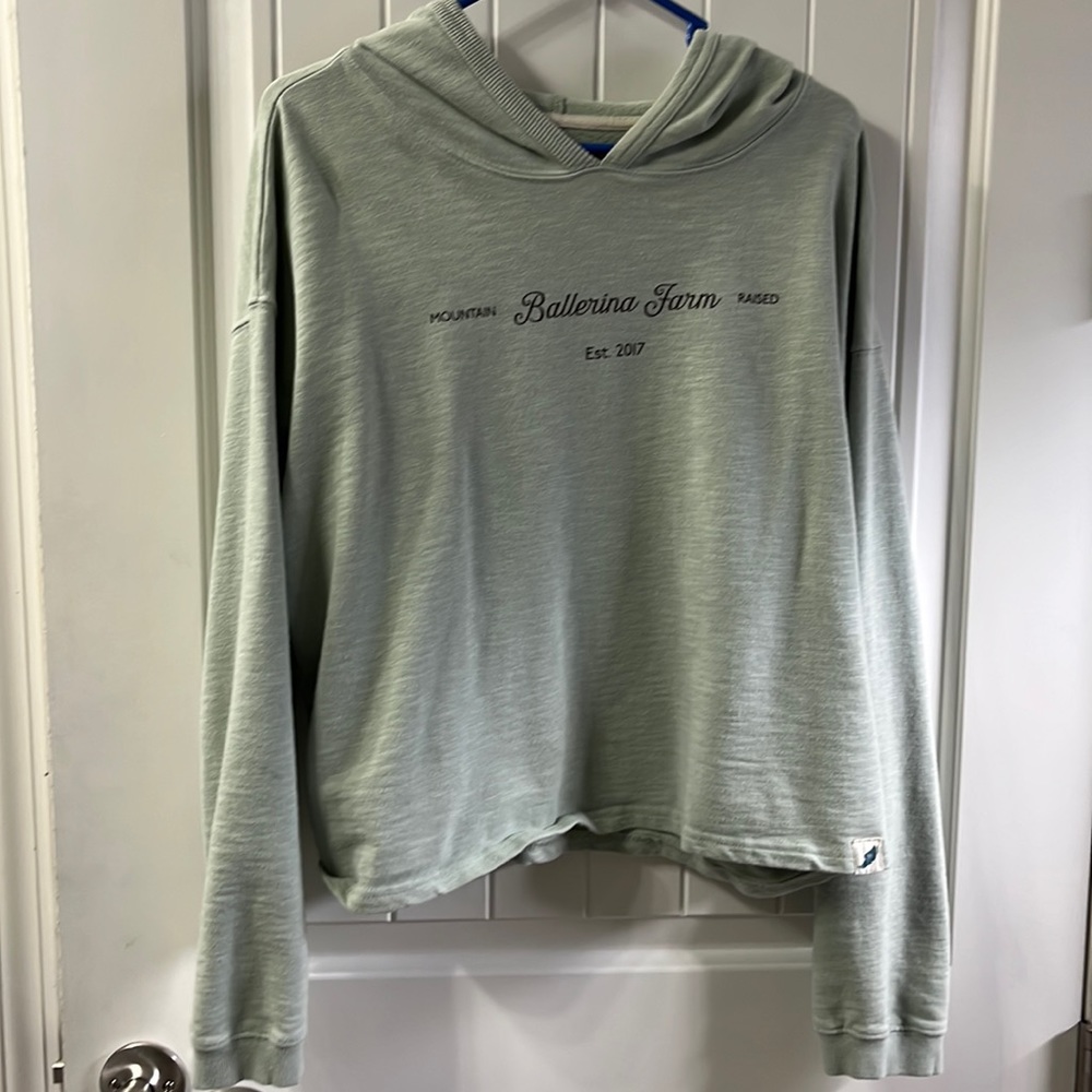Mint green Ballerina Farm crop hoodie